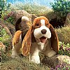 Basset Hound  Dog Puppet 