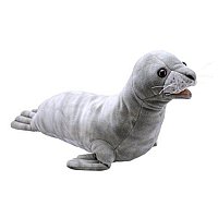 Seal  Puppet 